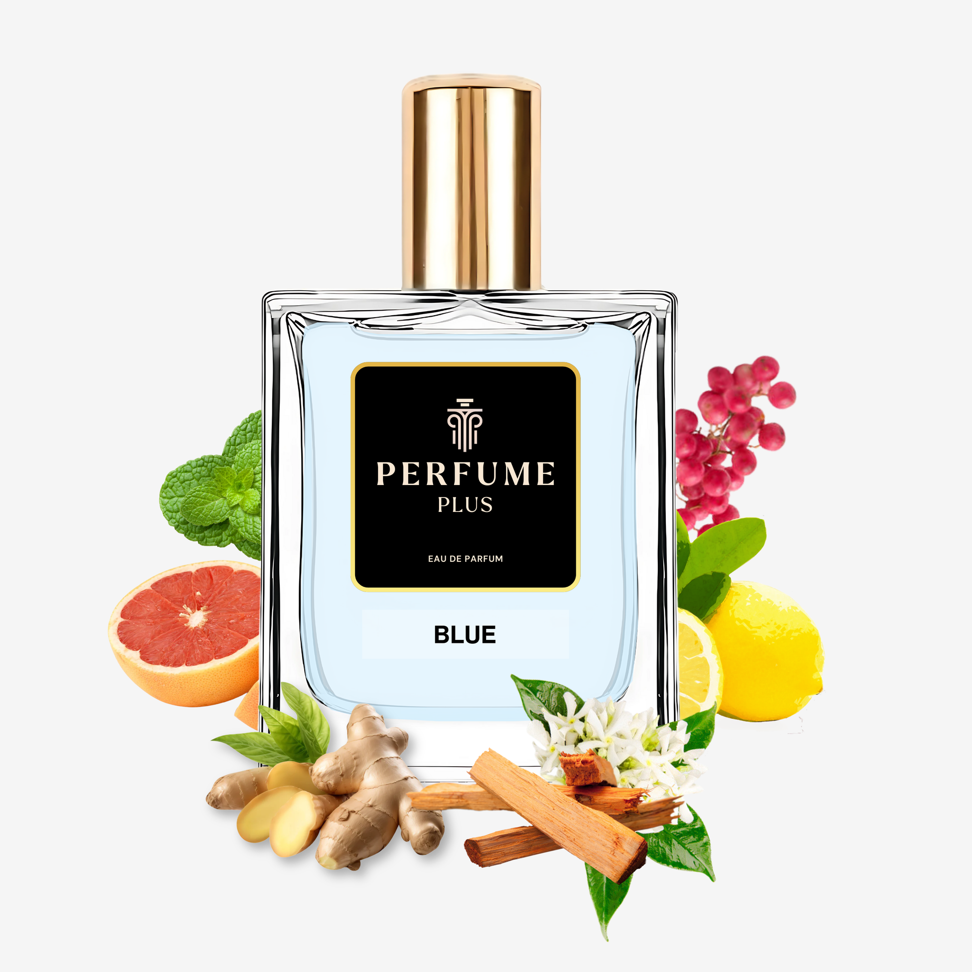 Blue Perume For Men