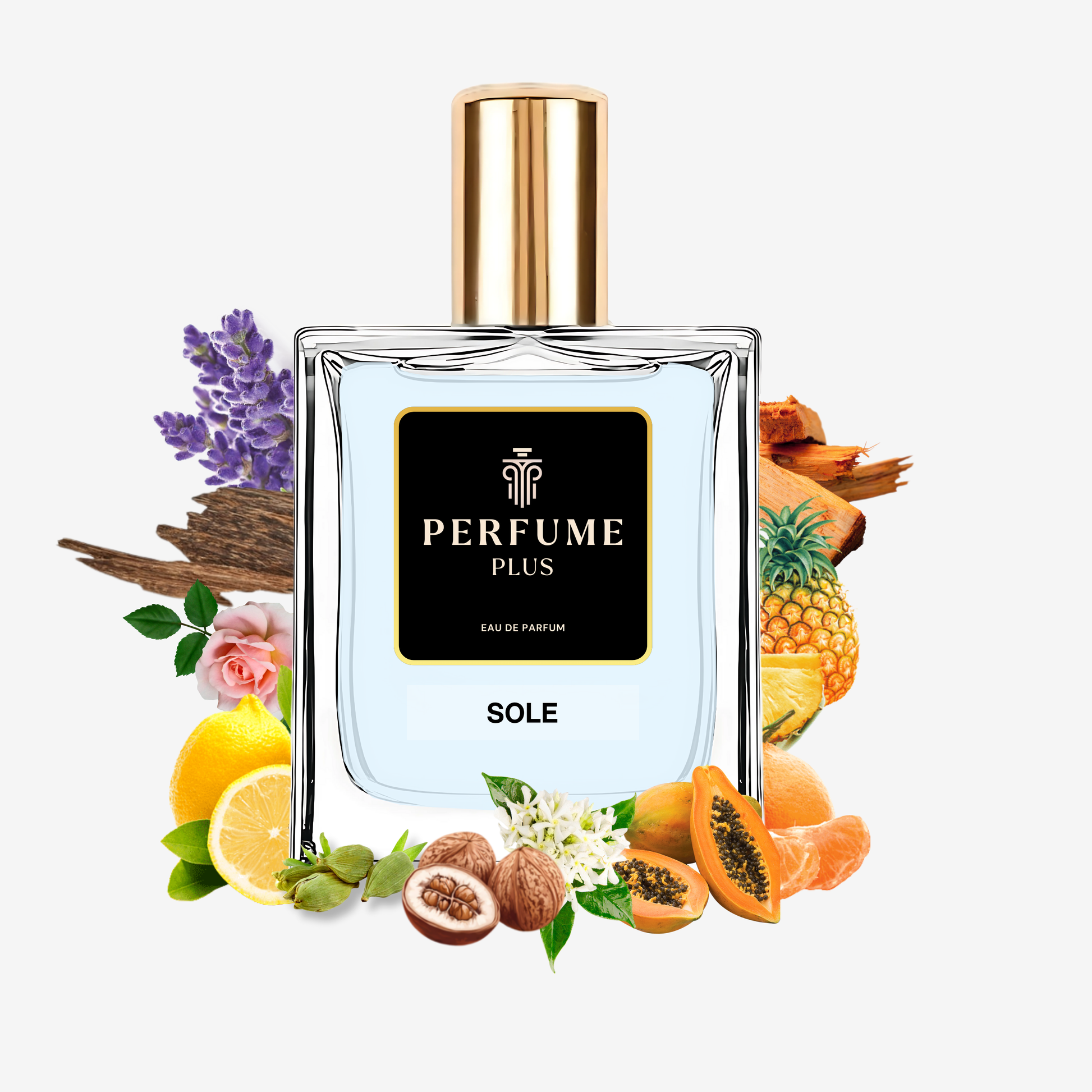 Sole Unisex Perfume For Men & Women